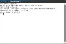 The Python 3.1 interpreter running in a GNOME Terminal