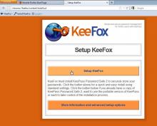 The initial setup screen that will help you to automatically install KeePass Password Safe.