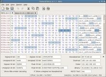 The usual offset-hex-ascii view and the pattern highlight feature.